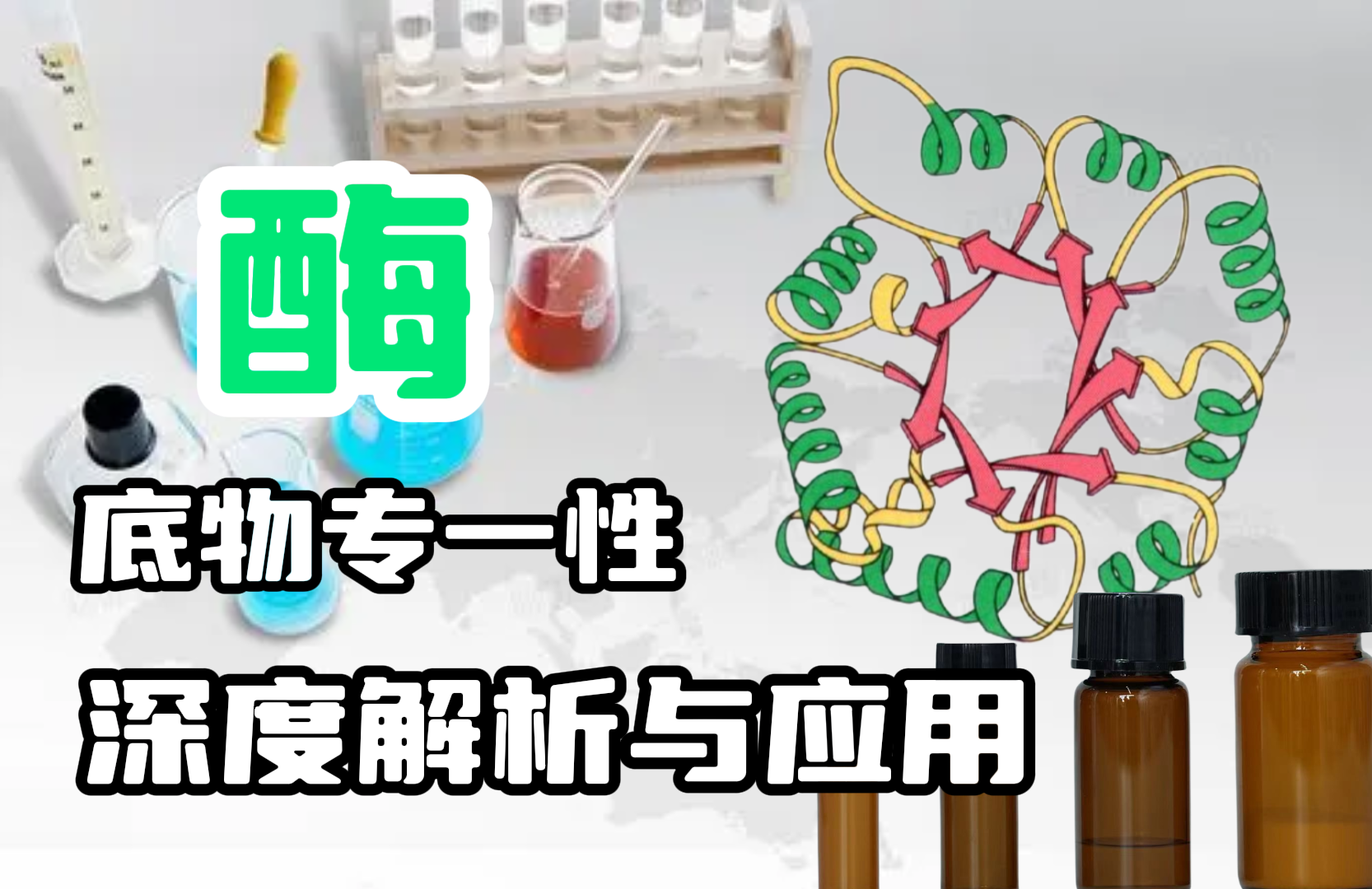 酶的底物专一性：深度解析与应用