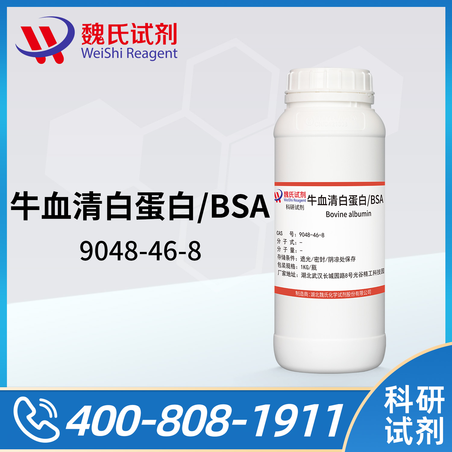 牛血清白蛋白；BSA