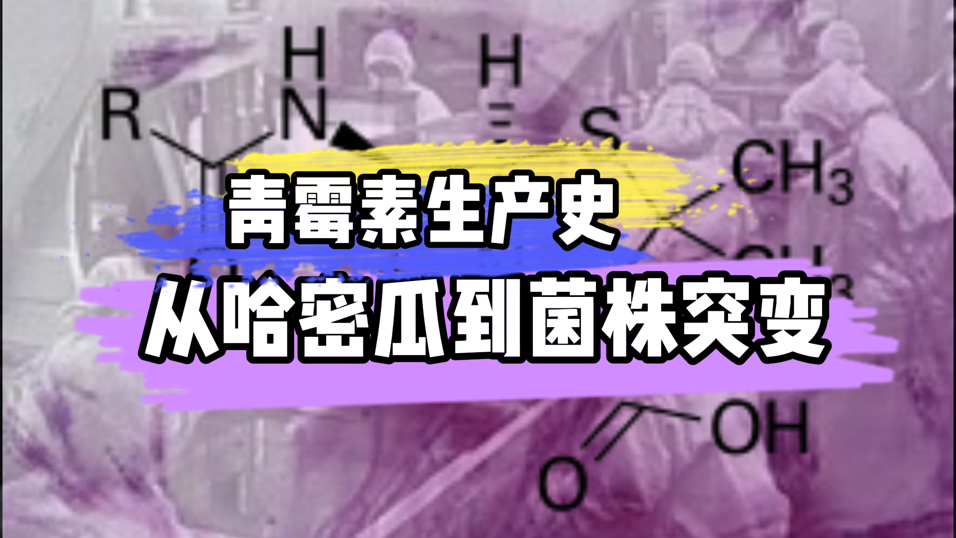 青霉素生产史：从哈密瓜到菌株突变