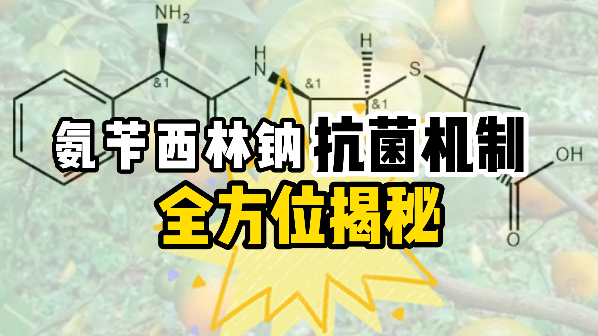  青霉素类原料氨苄西林钠的抗菌机制揭秘