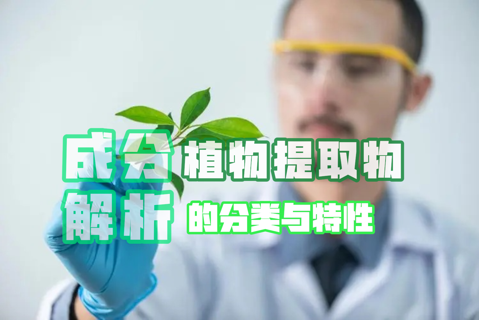 成分解析：植物提取物的分类与特性