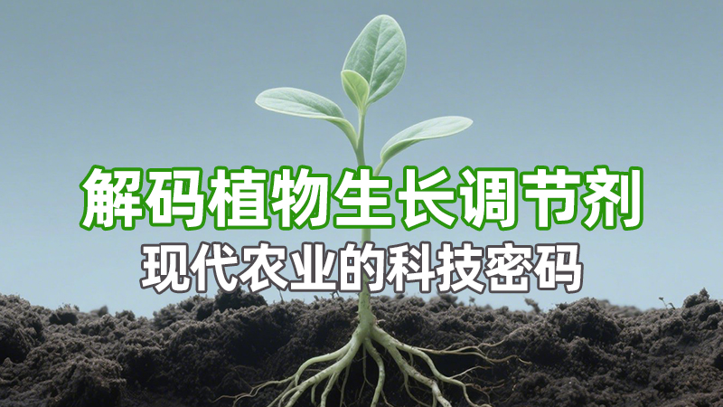 解码植物生长调节剂：现代农业的科技密码