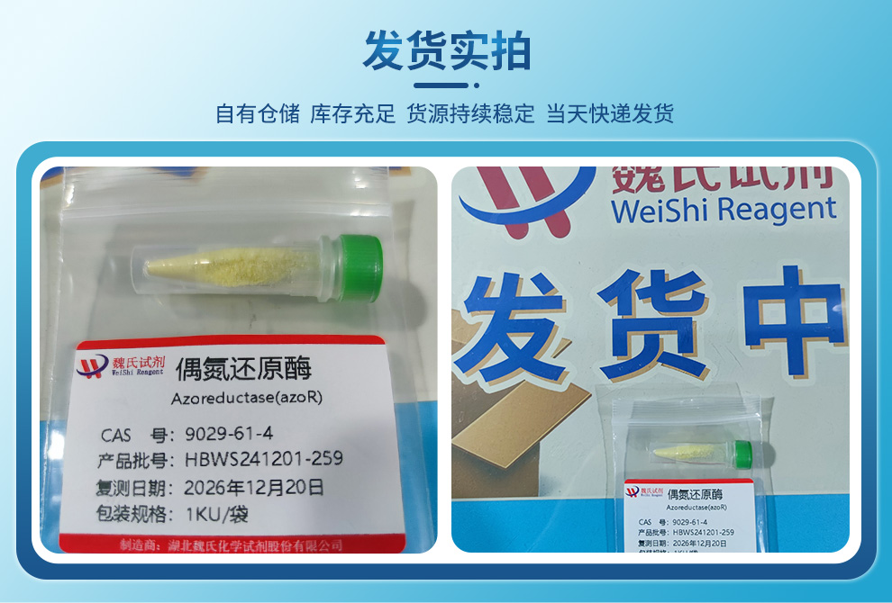 偶氮还原酶产品实拍图集