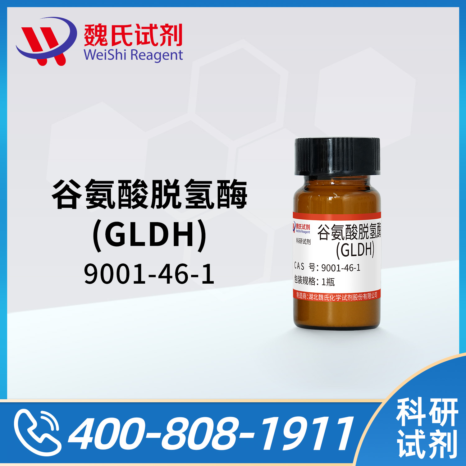 谷氨酸脱氢酶（GLDH）