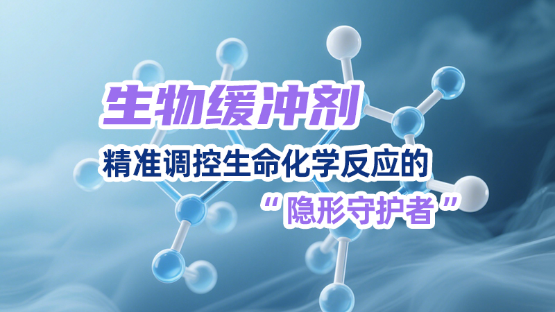 生物缓冲剂：精准调控生命化学反应的“隐形守护者”
