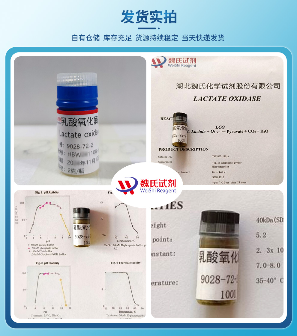 乳酸氧化酶产品实拍图集