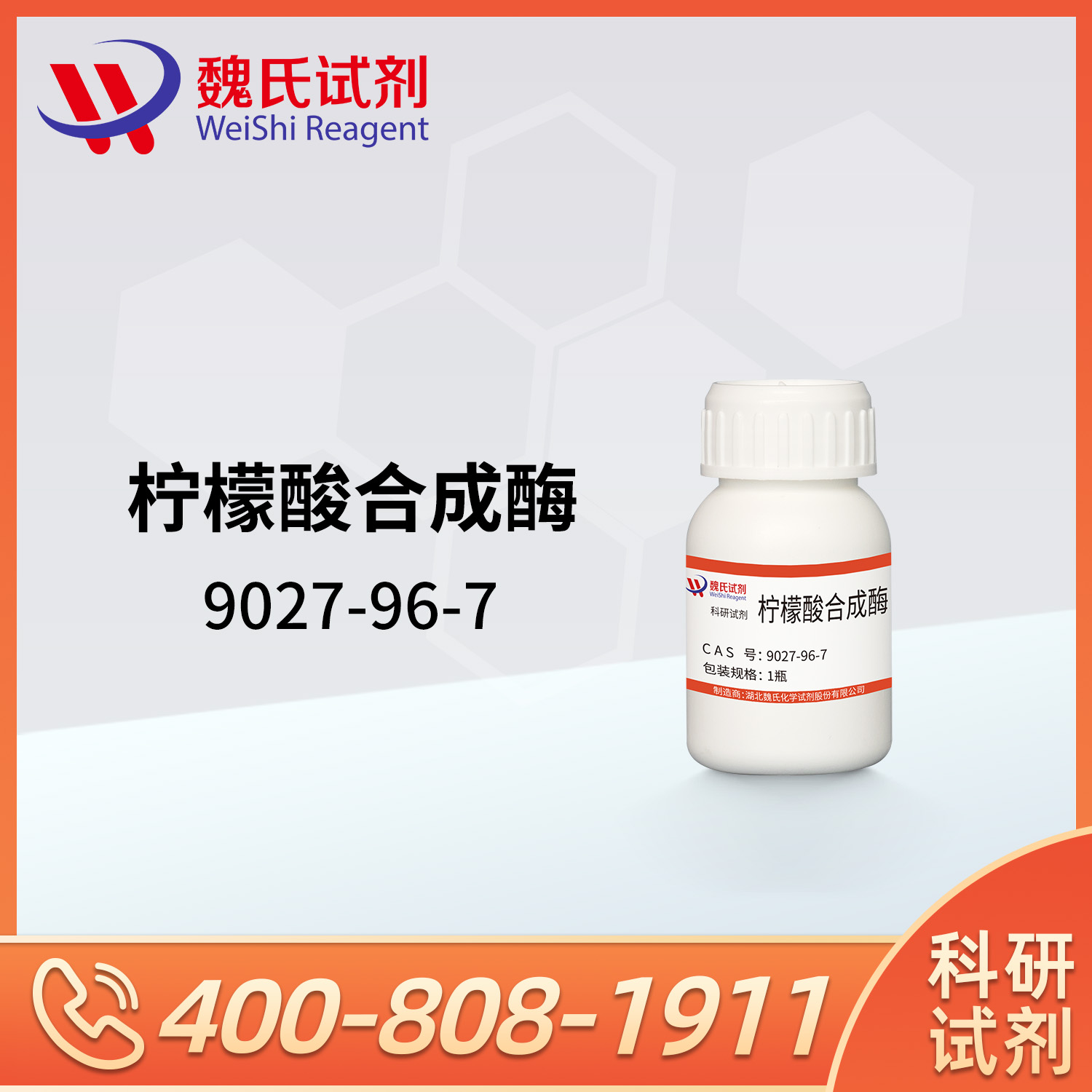 柠檬酸合成酶