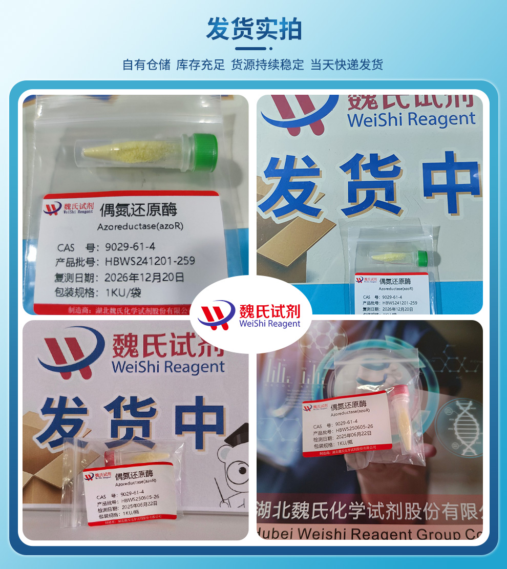 偶氮还原酶产品实拍图集