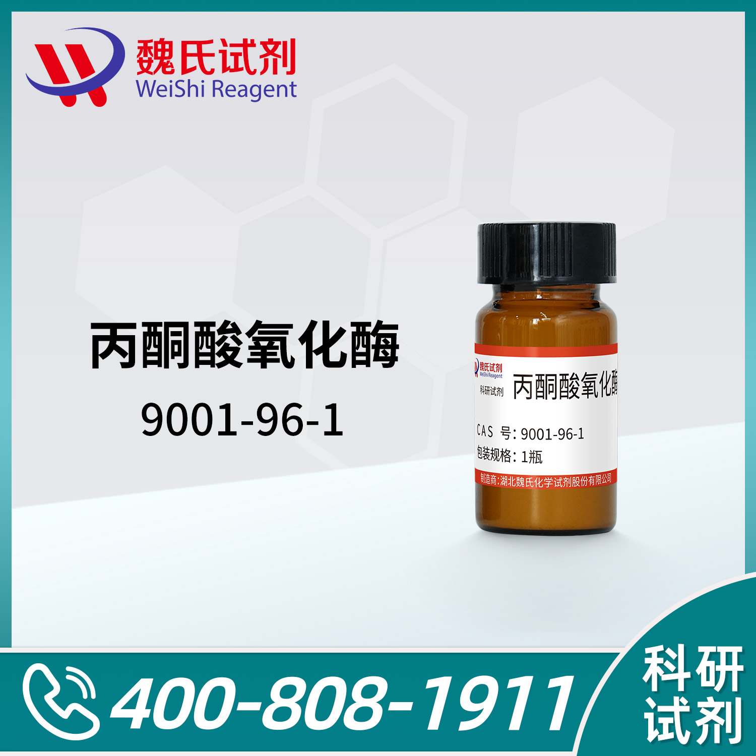 丙酮酸氧化酶
