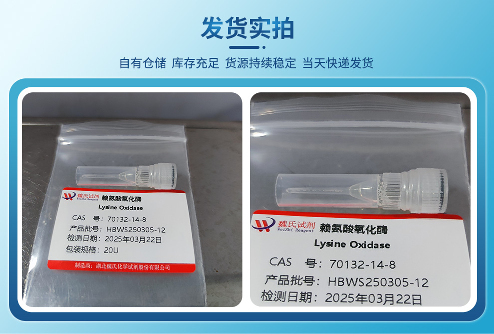 赖氨酸氧化酶产品实拍图集