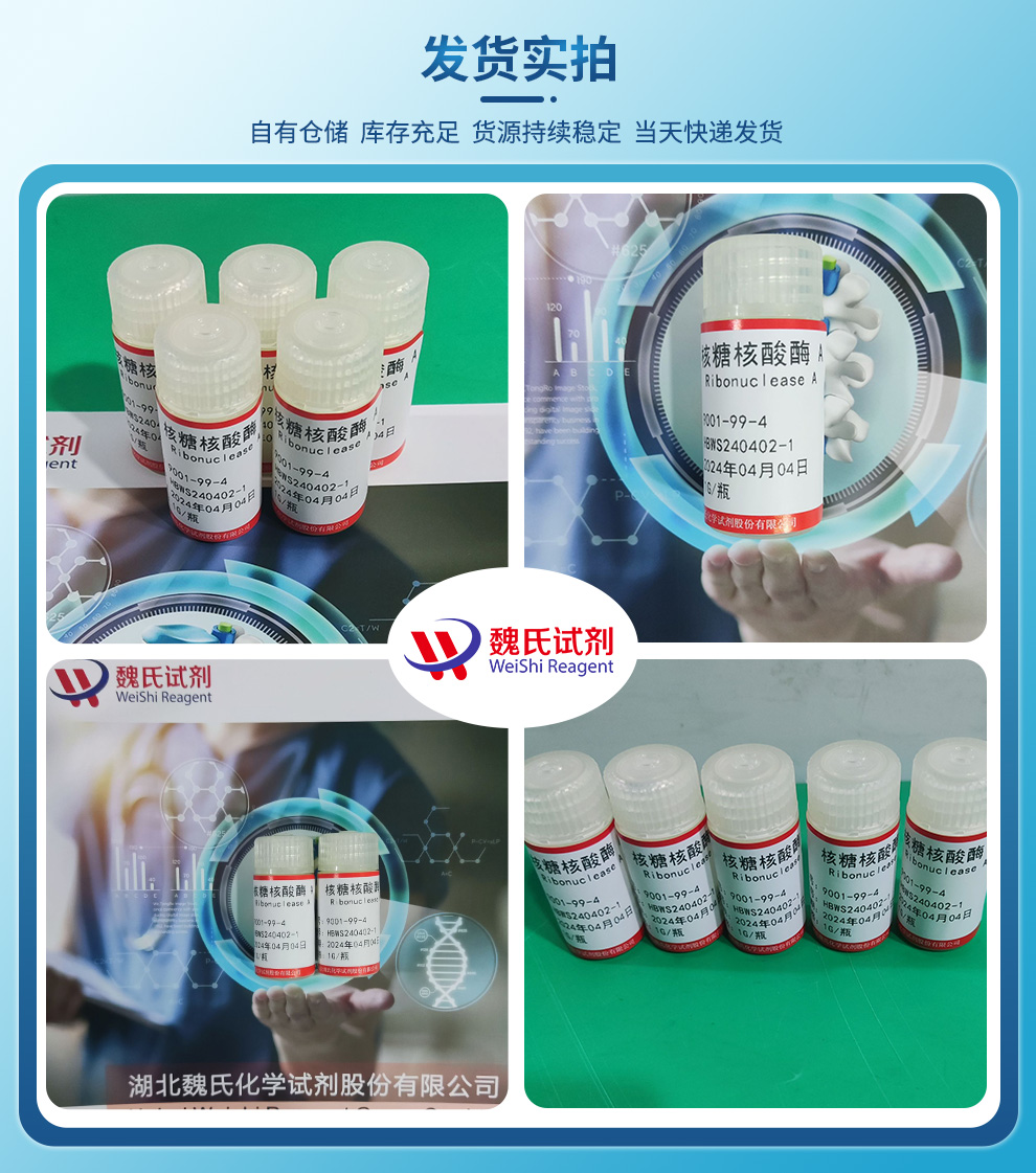 核糖核酸酶 A产品实拍图集
