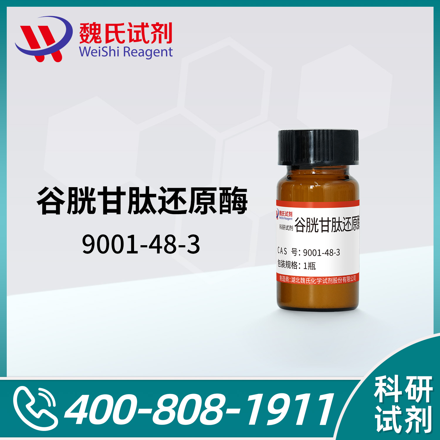 谷胱甘肽还原酶