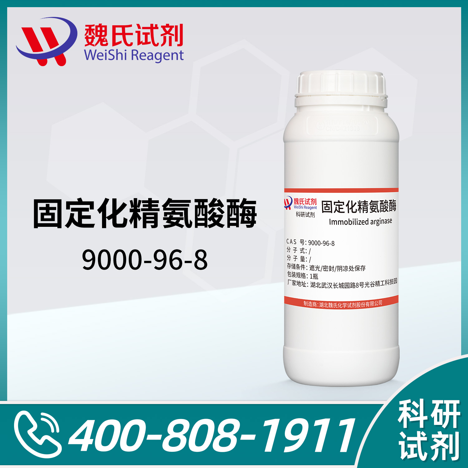 精氨酸酶；固定化精氨酸酶
