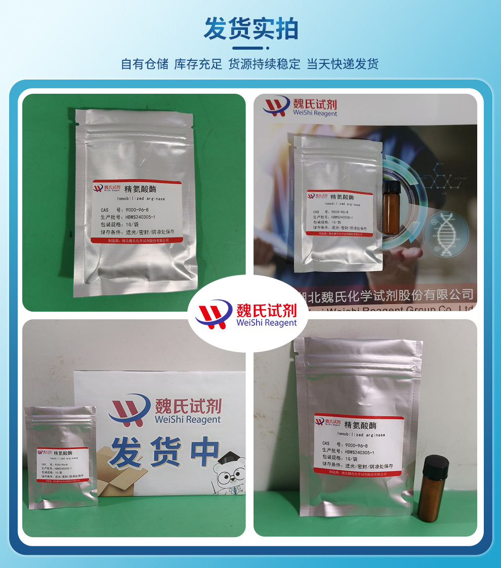 精氨酸酶；固定化精氨酸酶产品实拍图集