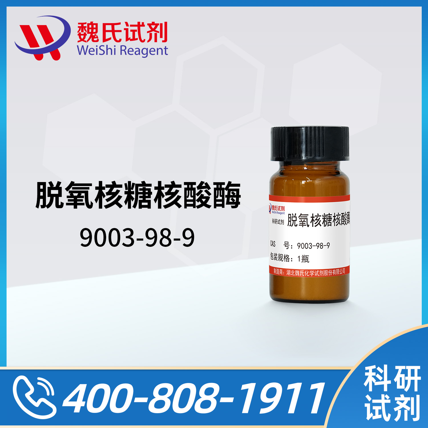 脱氧核糖核酸酶Ⅰ(牛胰)