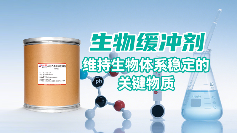 生物缓冲剂：维持生物体系稳定的关键物质
