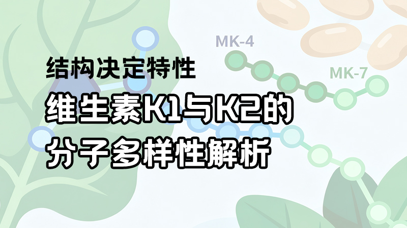 结构决定特性：维生素K1与K2的分子多样性解析