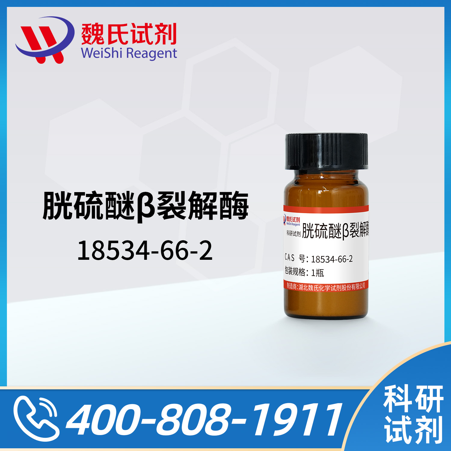 胱硫醚β裂解酶；CBL