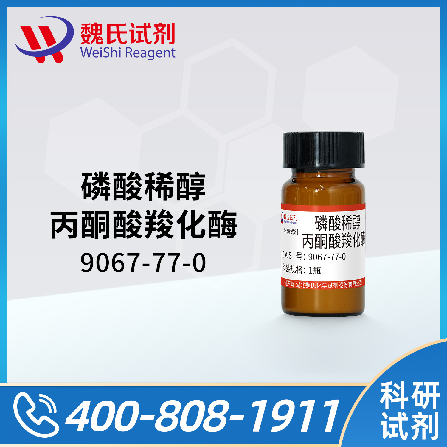 磷酸稀醇丙酮酸羧化酶