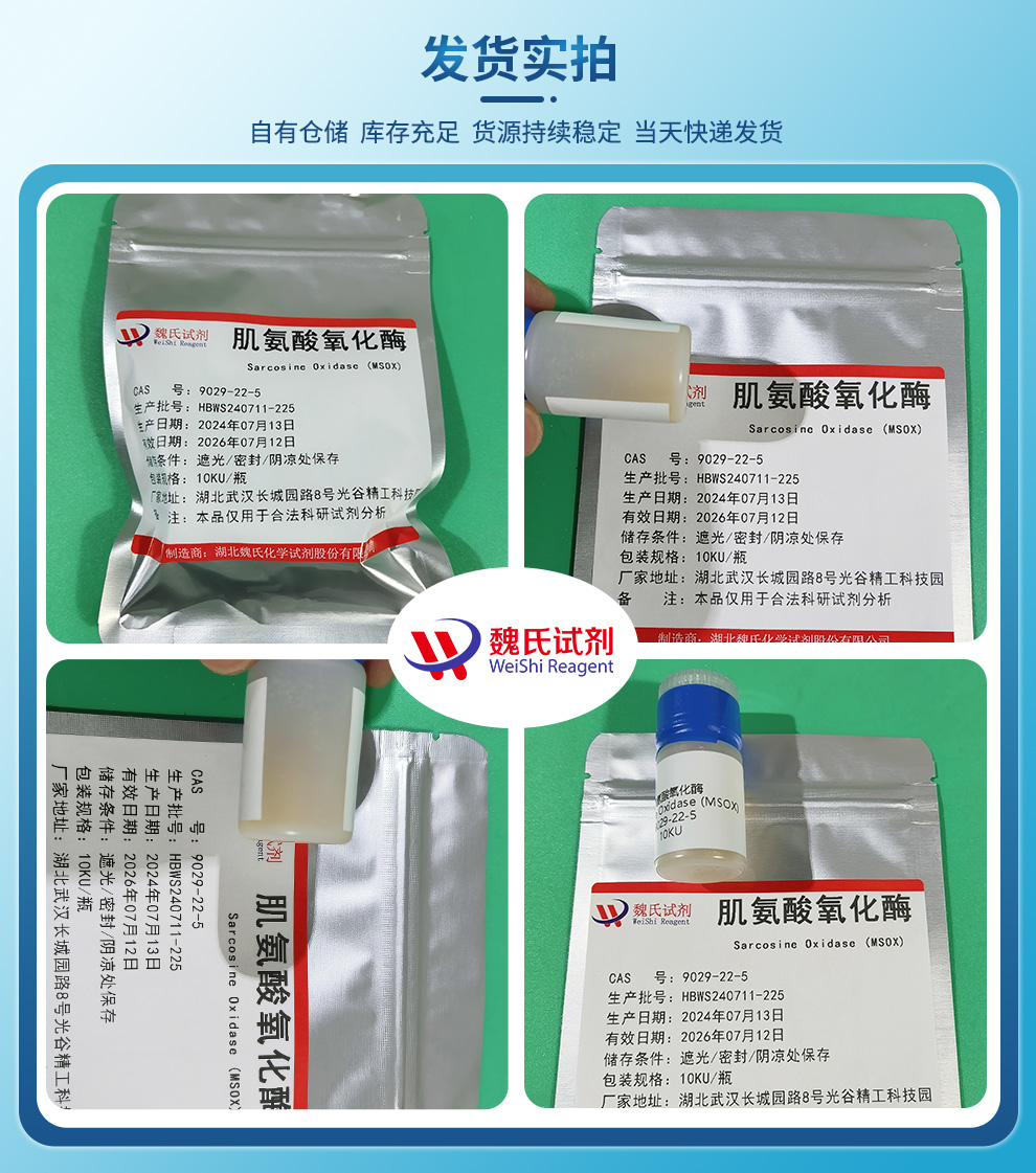 肌氨酸氧化酶(MSOX)产品实拍图集