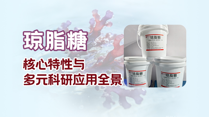 琼脂糖的核心特性与多元科研应用全景