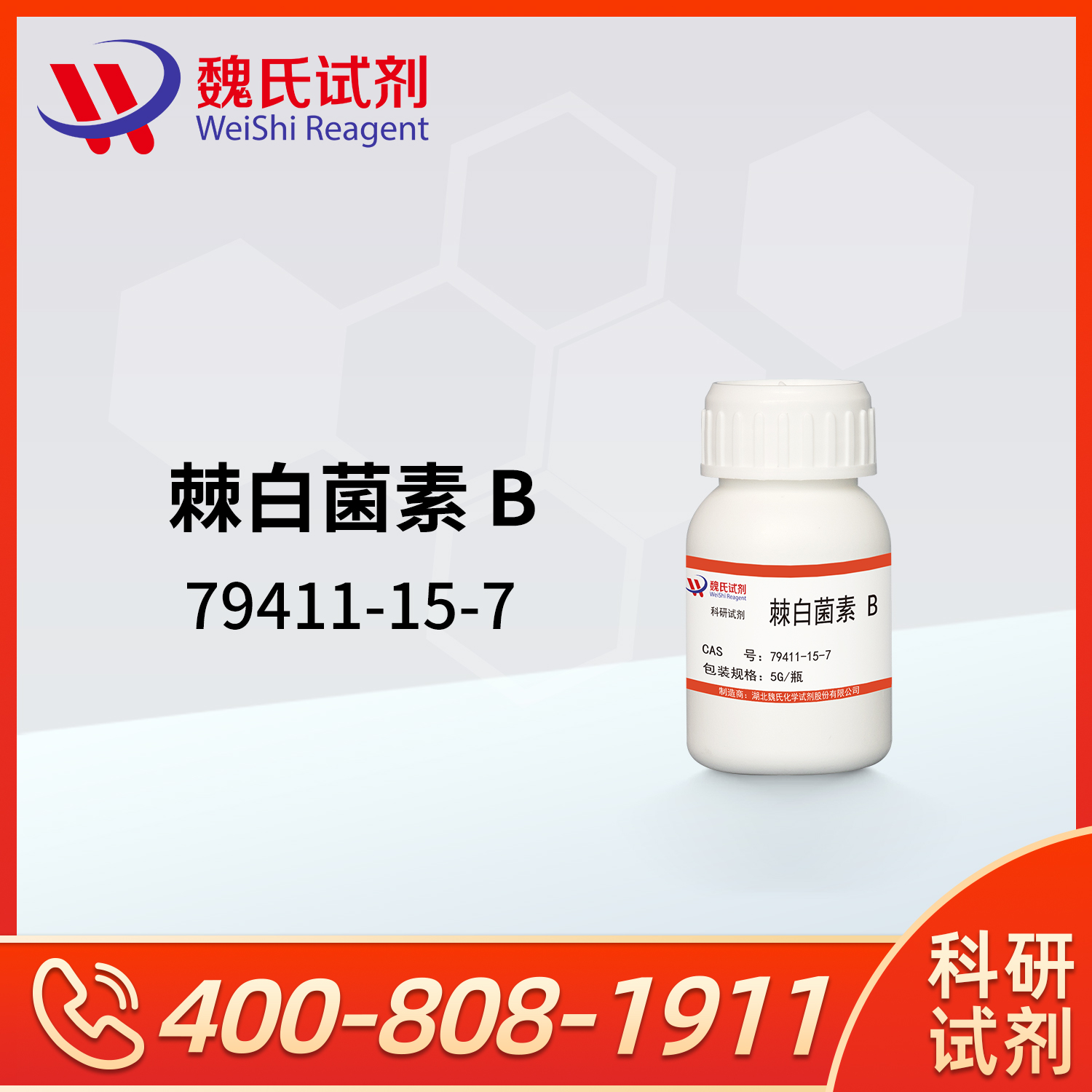 棘白菌素 B