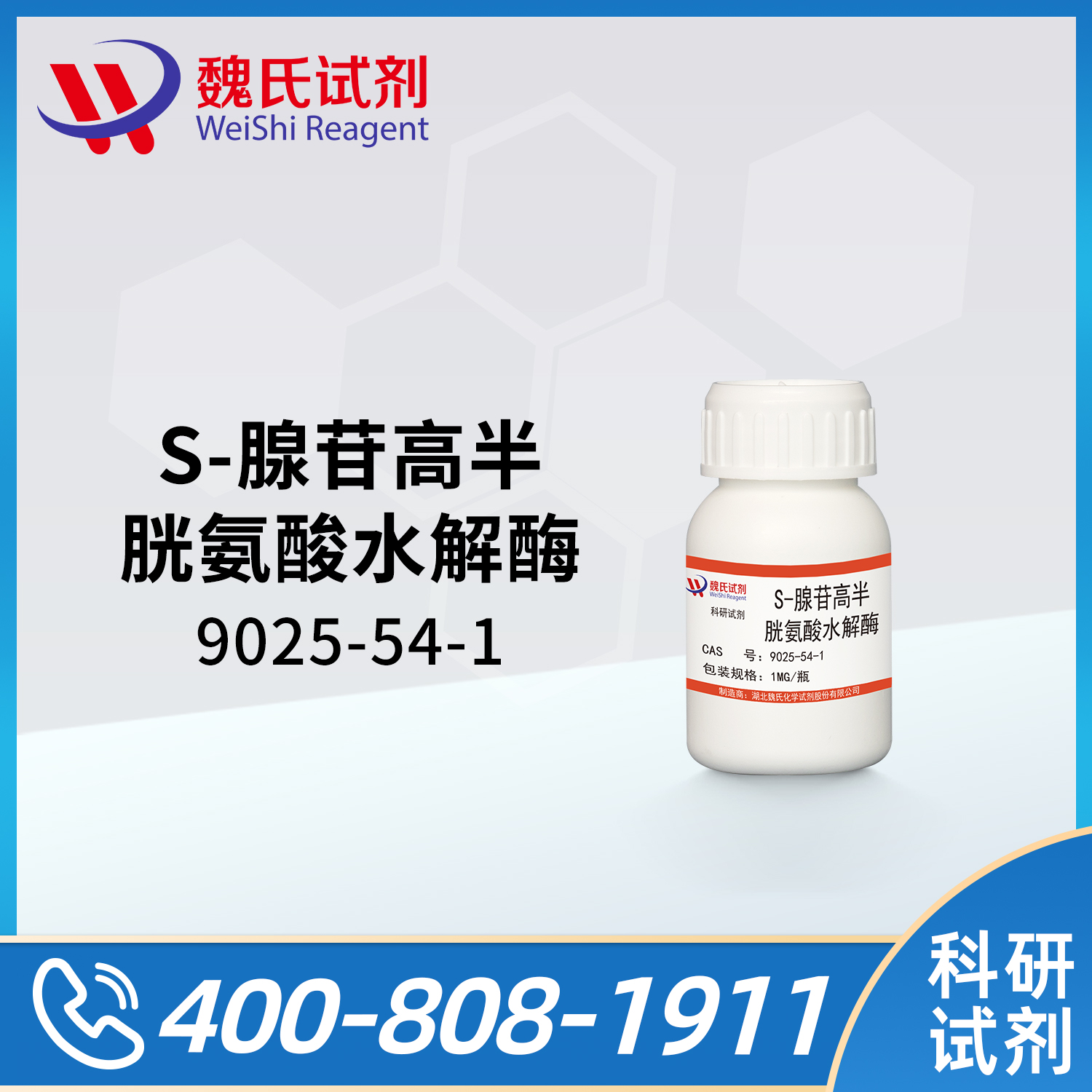 S-ADENOSYL-L-HOMOCYSTEINE HYDROLASE