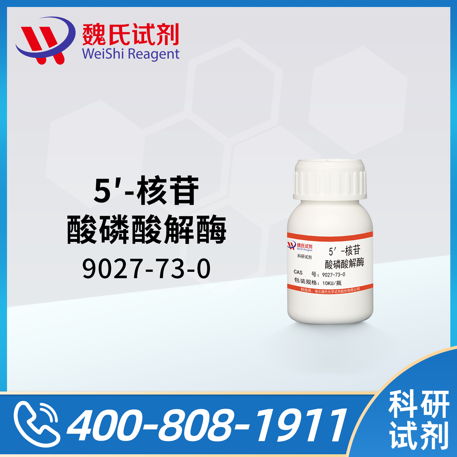 5 '- Nucleotide Phosphatase