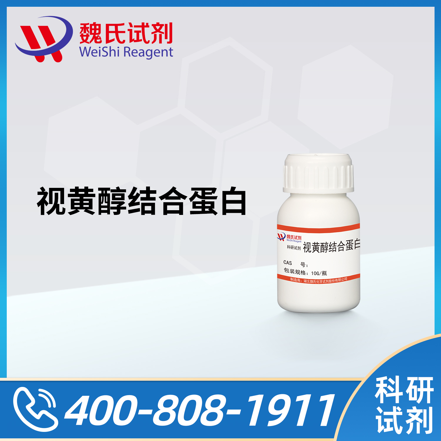 Retinol Binding Protcin（RBP）