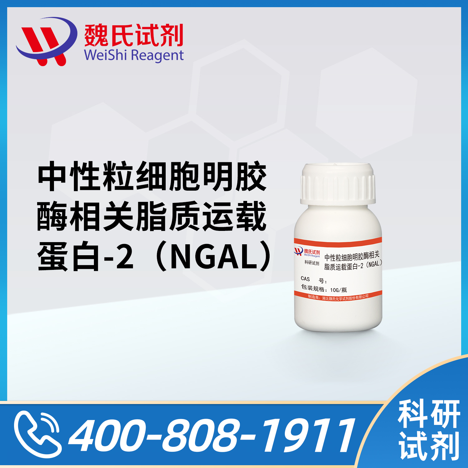 Human Lipocalin-2/NGAL