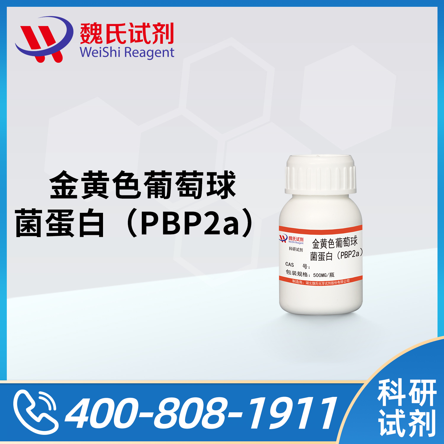 Staphylococal Protein（PBP2a）