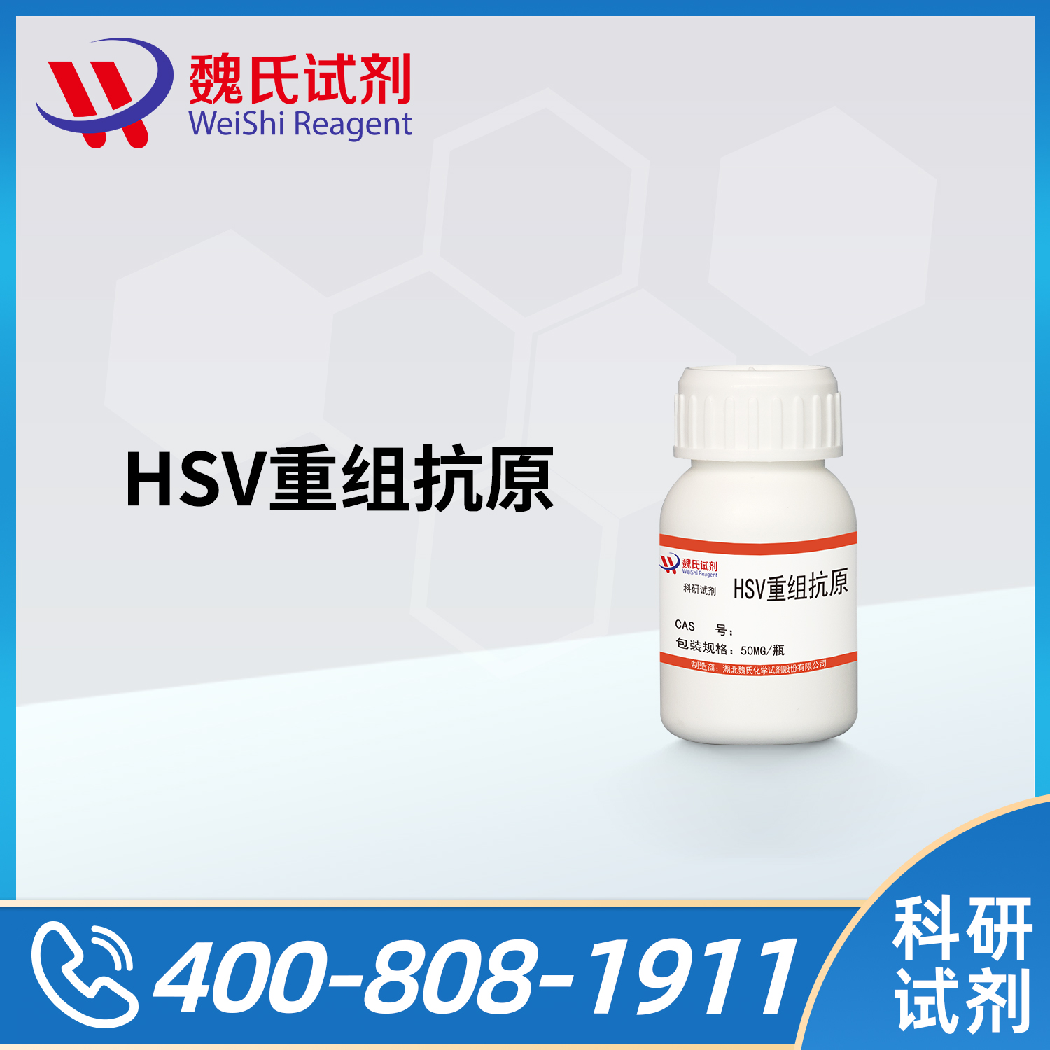HSV重组抗原