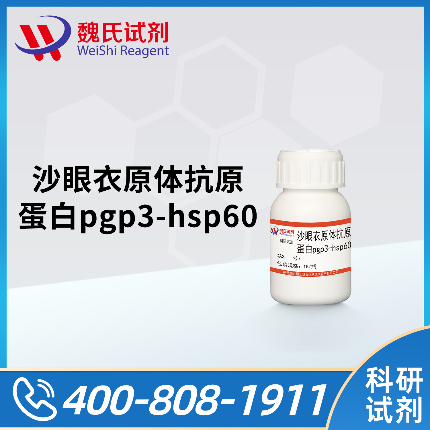 沙眼衣原体抗原蛋白pgp3-hsp60