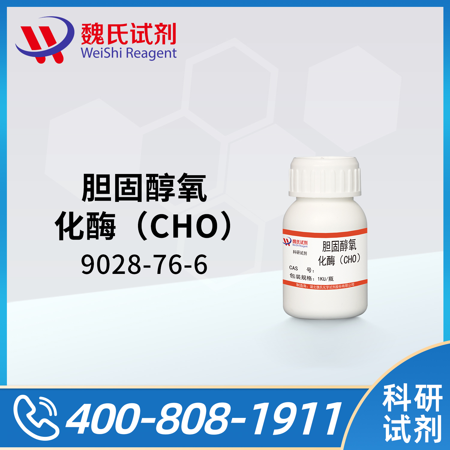 胆固醇氧化酶（CHO）