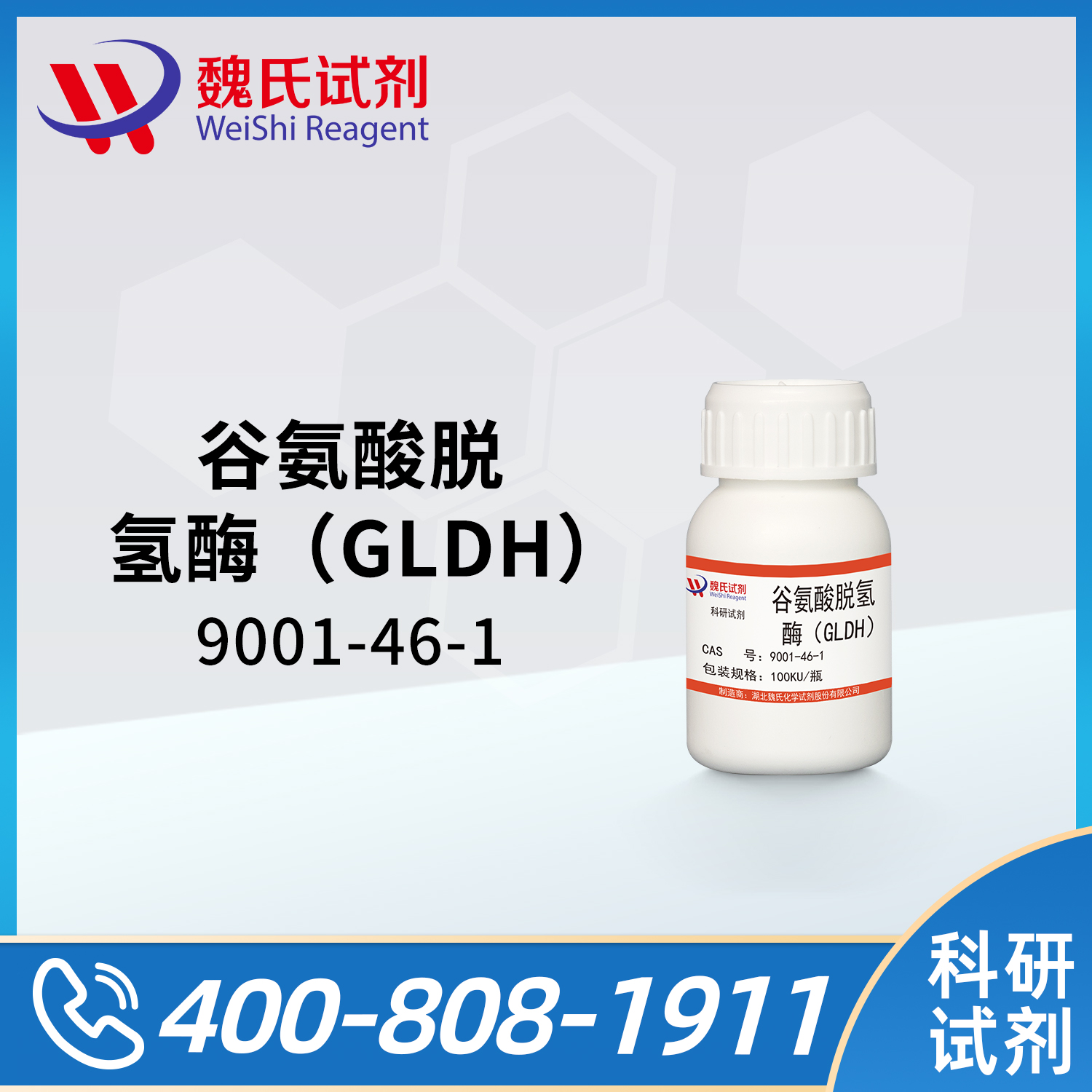谷氨酸脱氢酶（GLDH）