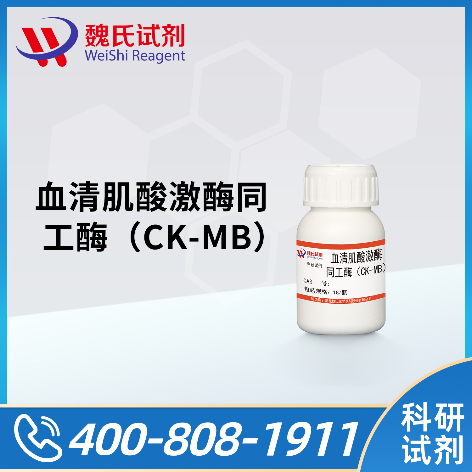 血清肌酸激酶同工酶（CK-MB）