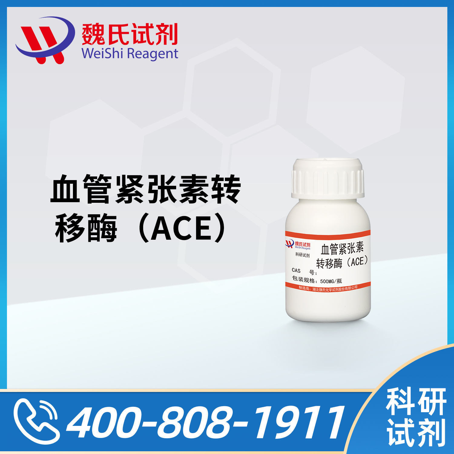 血管紧张素转移酶（ACE）