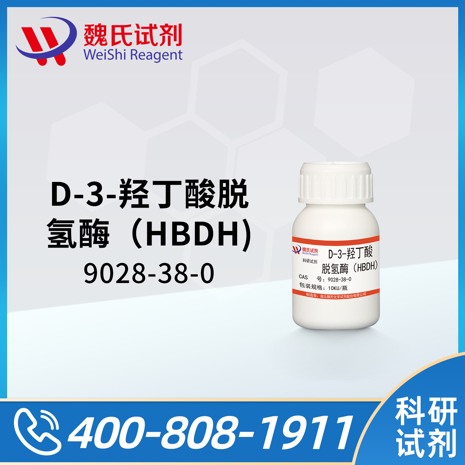 D-3-羟丁酸脱氢酶（HBDH)