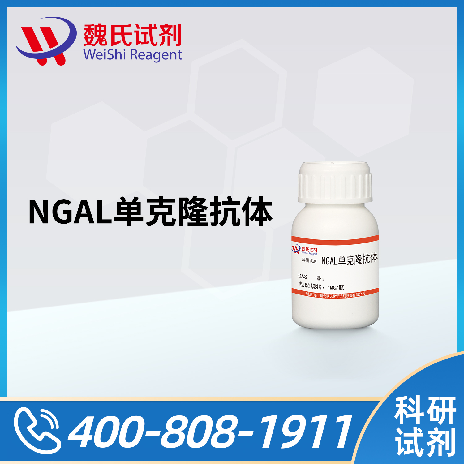 Monoclonal antibody of Human Lipocalin-2/NGAL