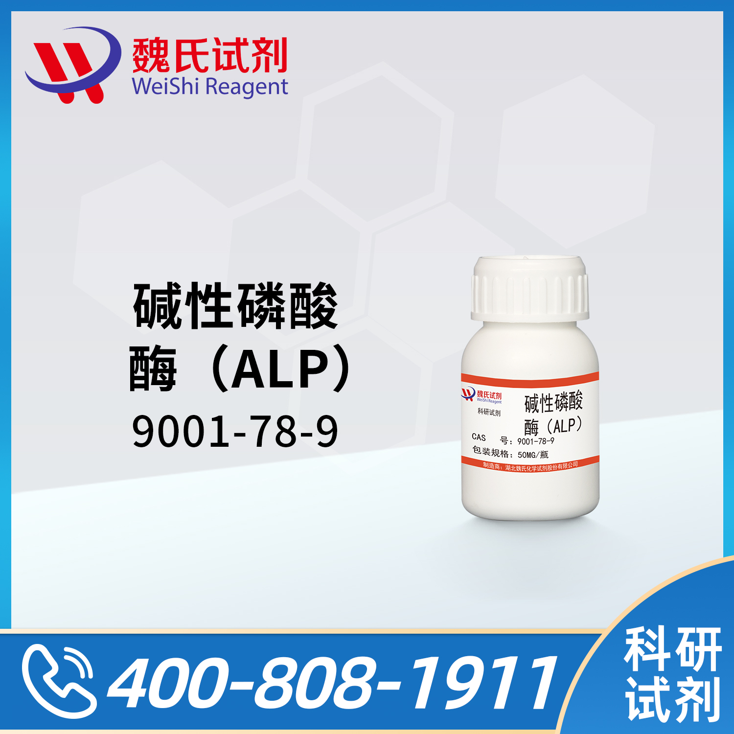 碱性磷酸酶（ALP）