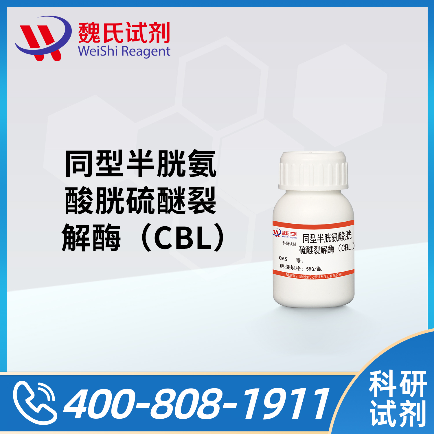 Cystathionine β-Lyase (CBL)