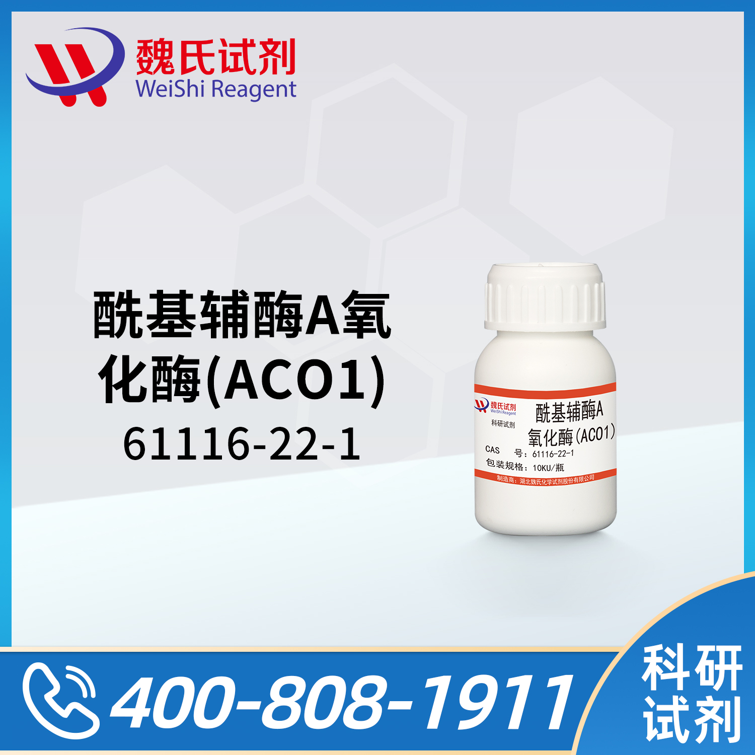 酰基辅酶A氧化酶(ACO1)