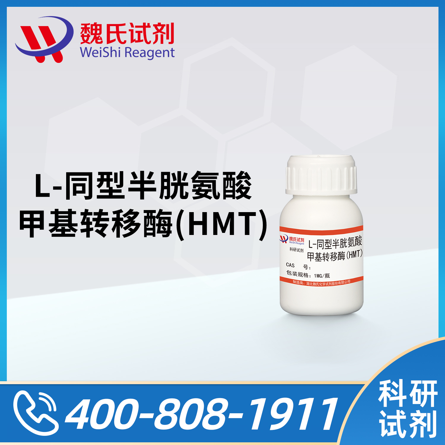 L-homocysteine methyltransferase (HMT)