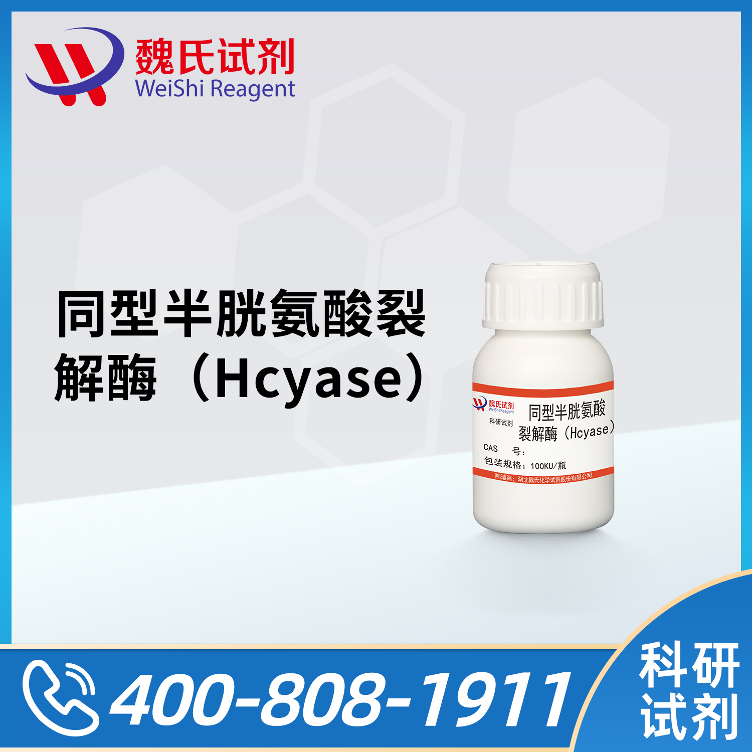 同型半胱氨酸裂解酶（Hcyase）