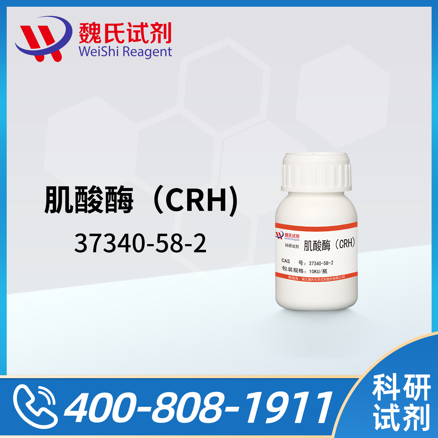 肌酸酶（CRH)