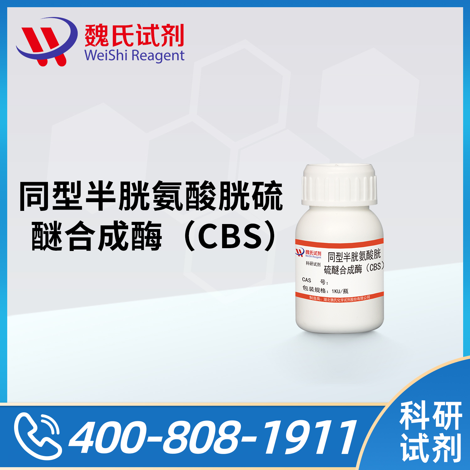 同型半胱氨酸胱硫醚合成酶（CBS）