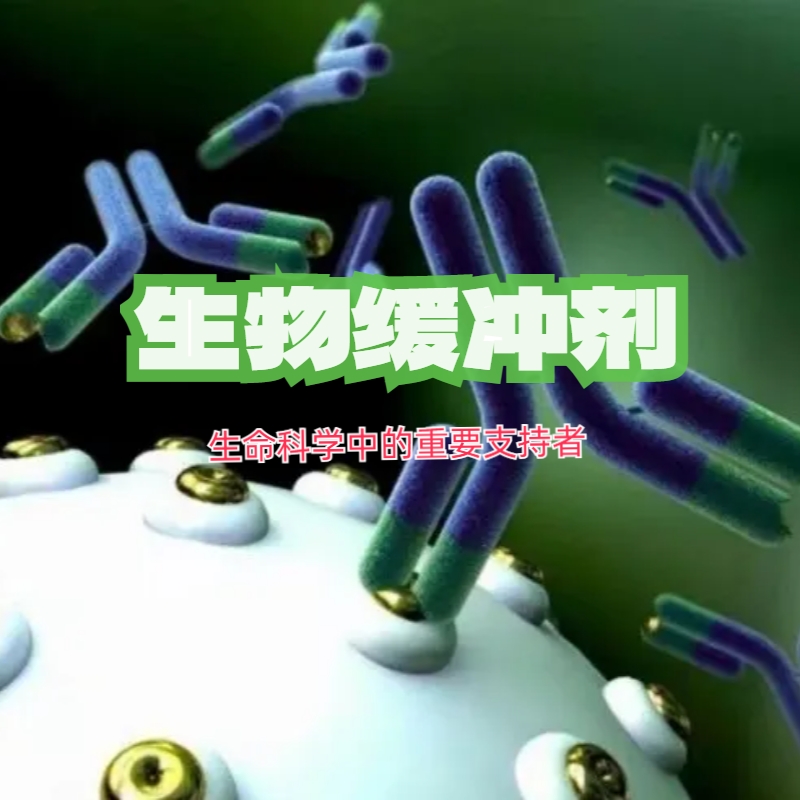 生物缓冲剂：生命科学中的重要支持者