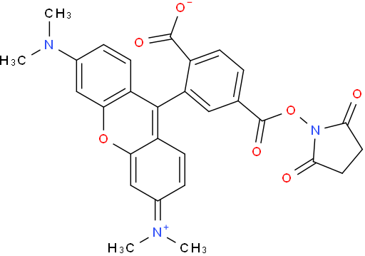 6-Carboxytetramethylrhodamine succinimidyl ester