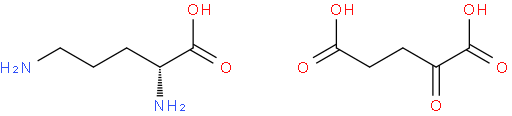 L-Ornithine 2-oxoglutarate