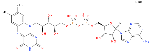 黄素腺嘌呤二核苷酸